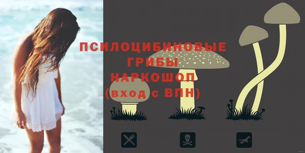 таблы Аркадак